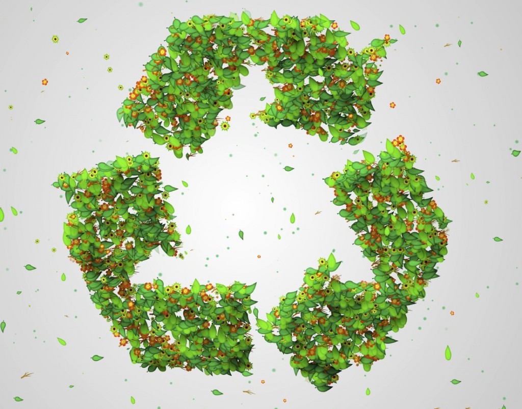 Recycle Symbol Green Leaves