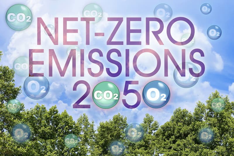 netzero 2050